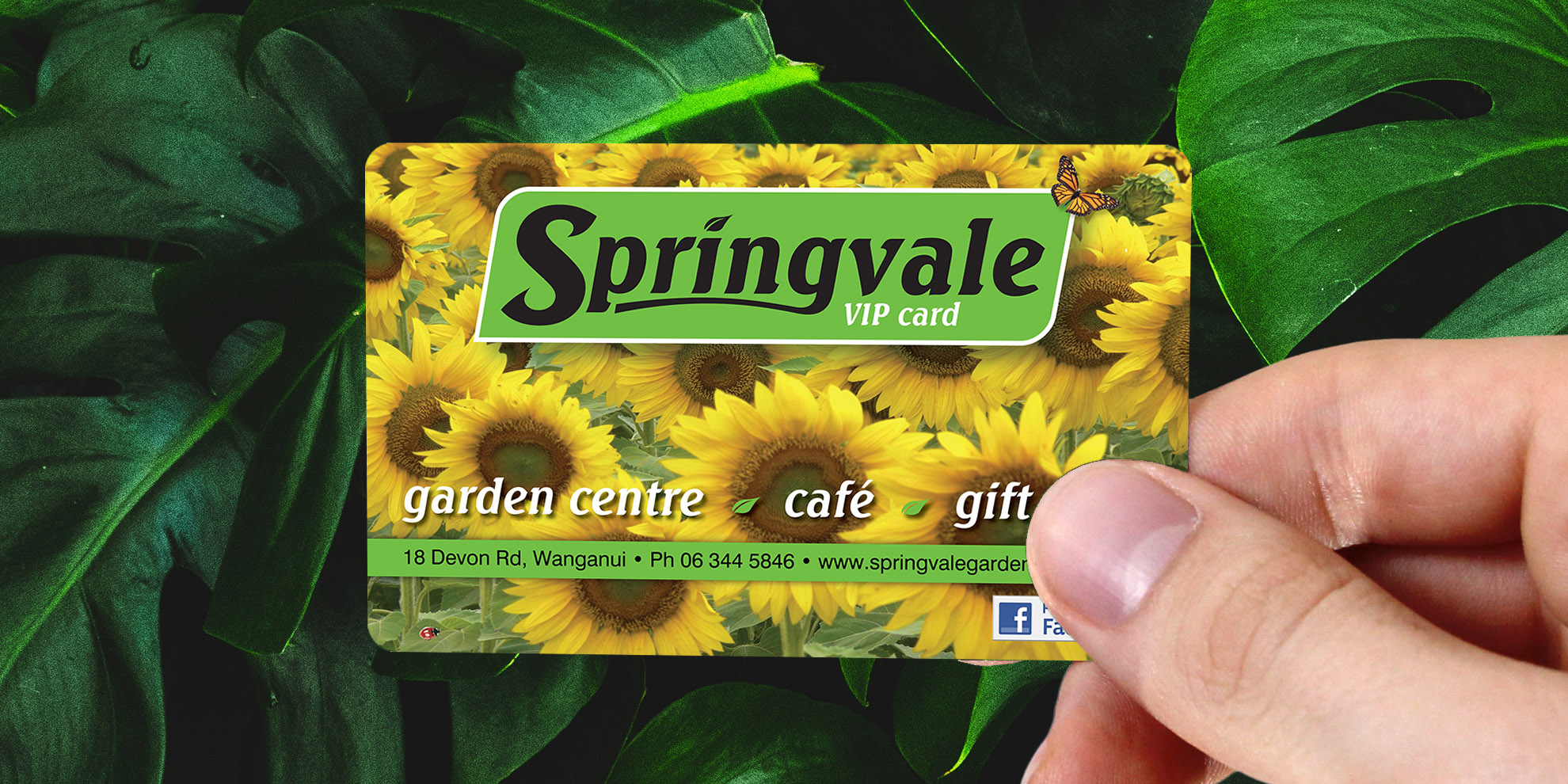 Shop Online Springvale Garden Centre