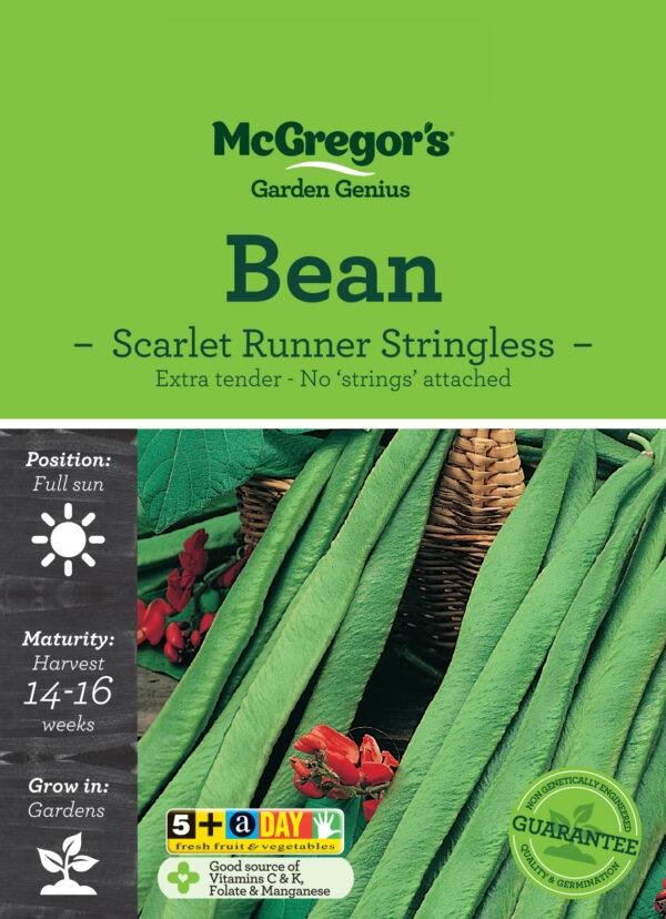 Seeds - McG Bean Stringless Scarlet Runner