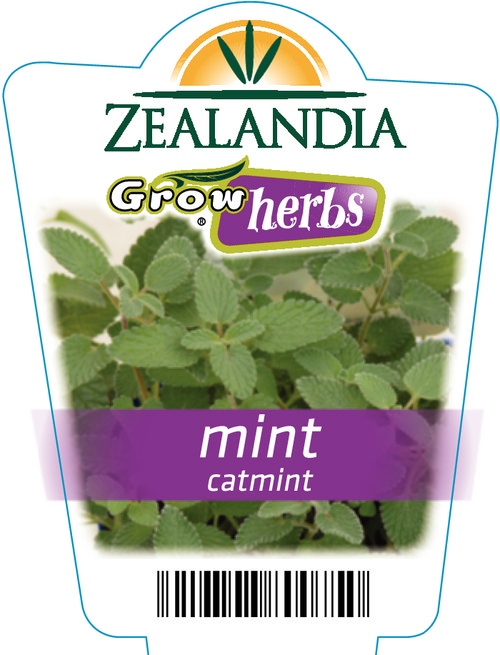 cat mint for cats