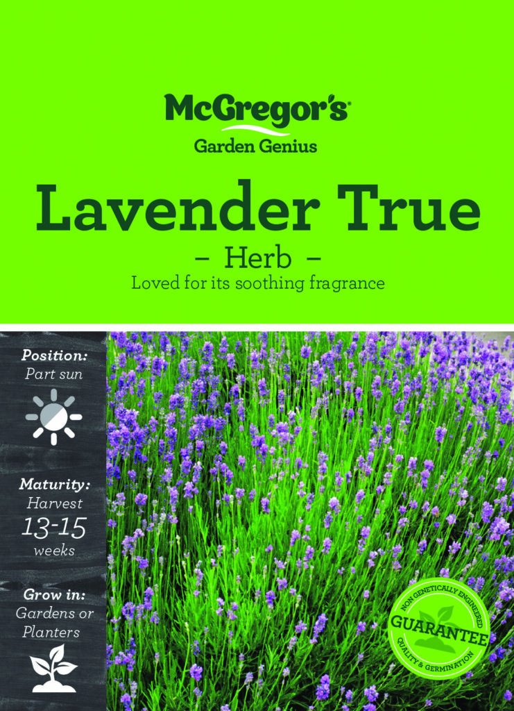 Seeds - McG Herb Lavender True - Springvale Garden Centre