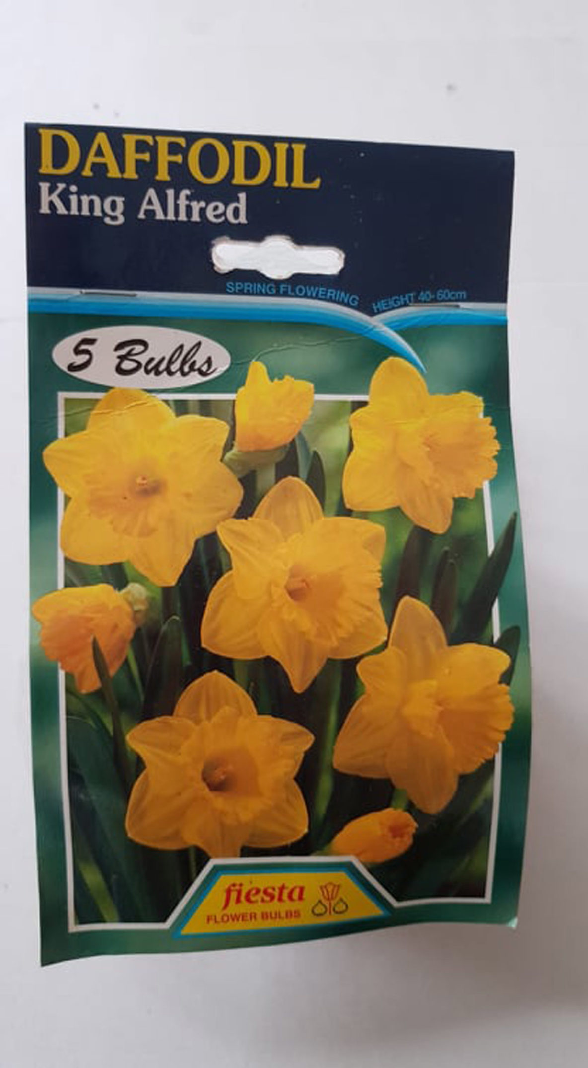 Daffodil King Alfred 5s Springvale Garden Centre