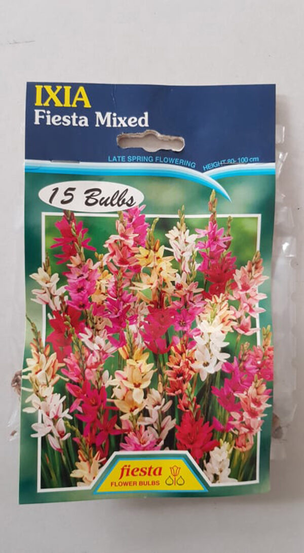 Ixia Super Mixed 15 pack