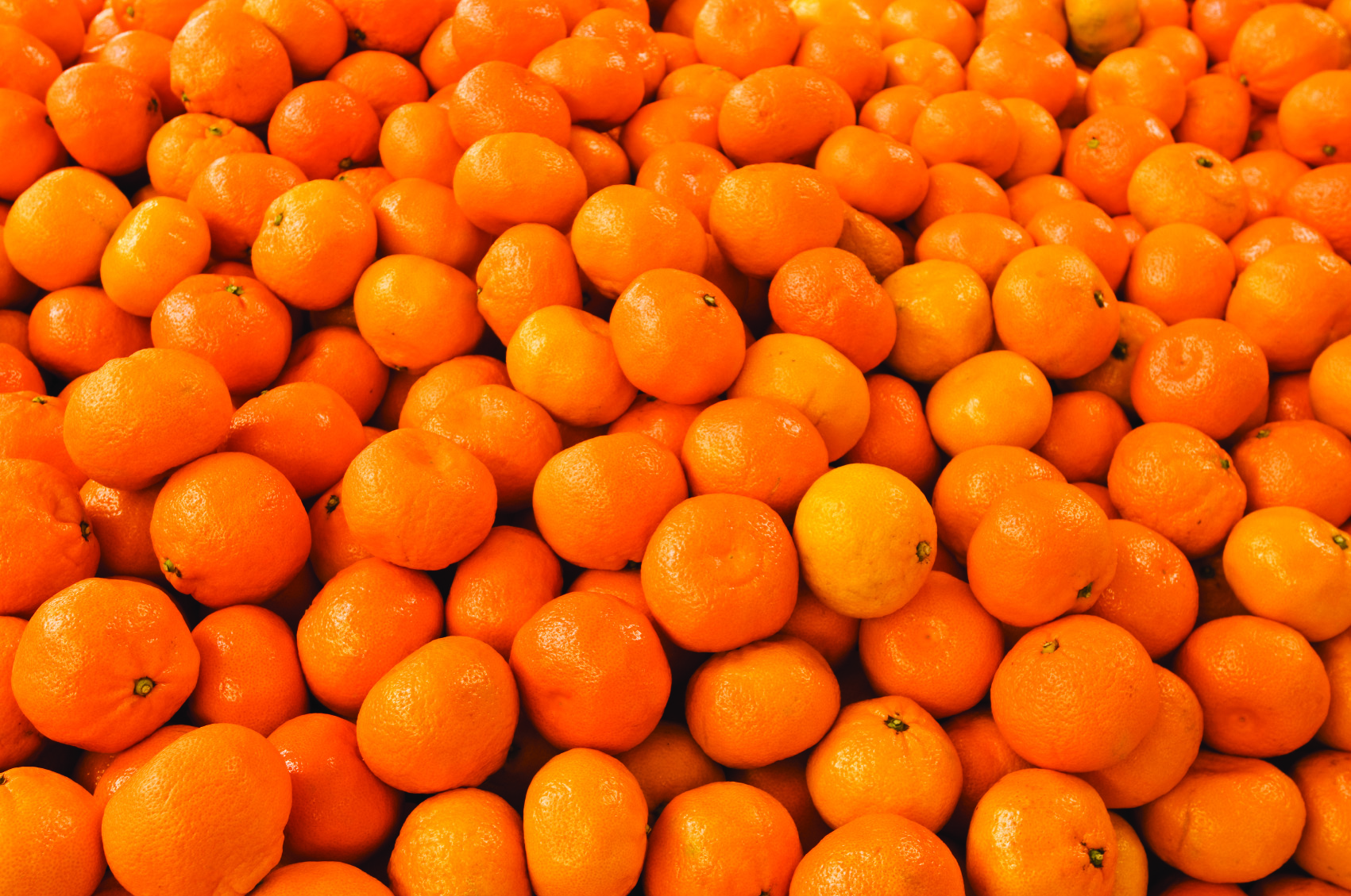 tangerine mandarin
