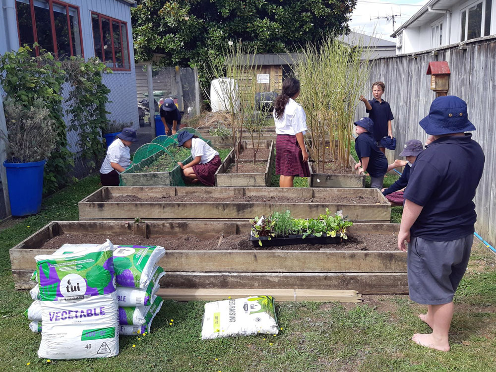 St Marys School students get to work on their vegetable garden