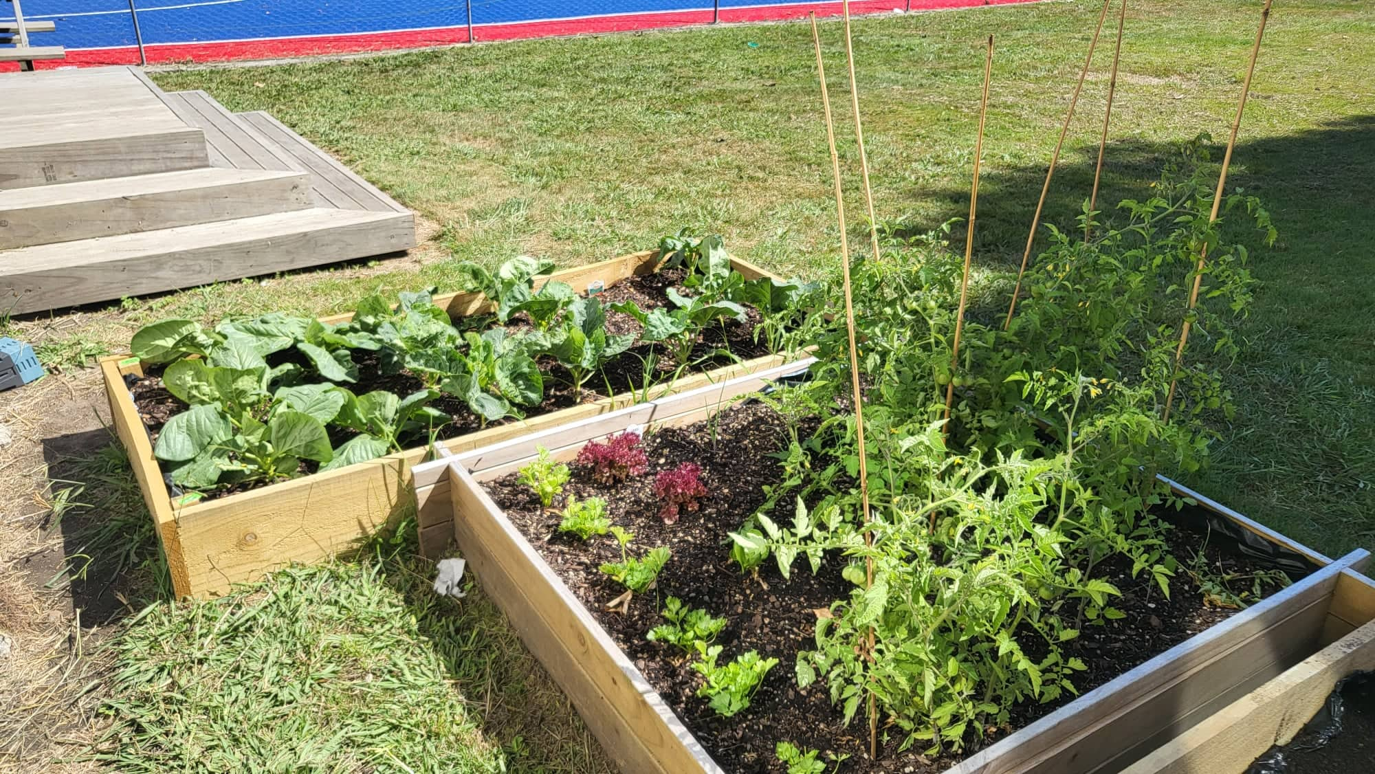 Upokongaro School - Springvale Garden Centre