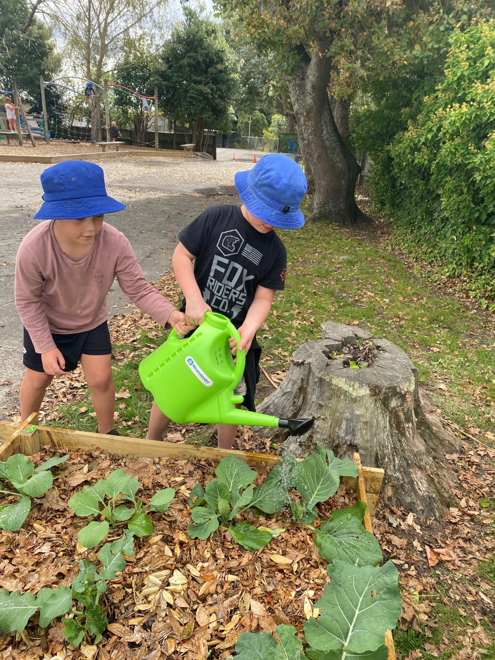 Durie Hill School - Springvale Garden Centre