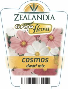 Cosmos Dwarf Mix - Springvale Garden Centre