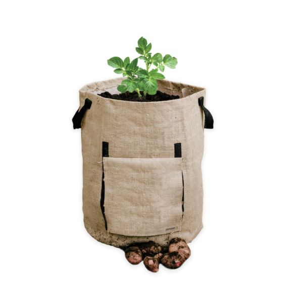 Tui Potato Grow Bag - Image 2